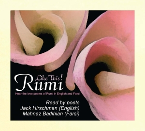 Rumi - Like This i gruppen CD / Pop-Rock,Annet hos Bengans Skivbutik AB (4039428)