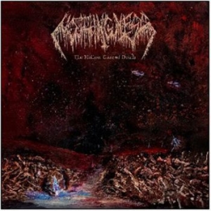 Nothingness - Hollow Gaze Of Death i gruppen CD / Metal/ Heavy metal hos Bengans Skivbutik AB (4042519)