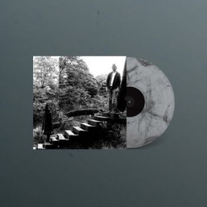 Timber Timbre - Timber Timbre i gruppen VINYL / Pop-Rock hos Bengans Skivbutik AB (4044134)