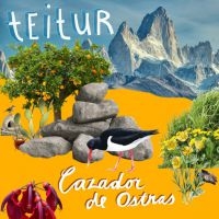 Teitur - Cazador De Ostras i gruppen VINYL / Dansk Musikkk,Pop-Rock hos Bengans Skivbutik AB (4044553)