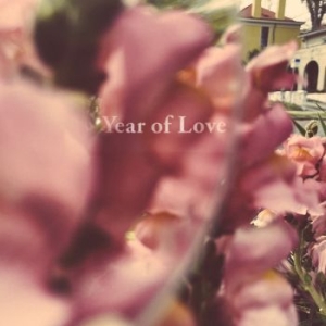 Beta Radio - Year Of Love i gruppen VINYL hos Bengans Skivbutik AB (4044629)