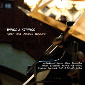 Spohr - Winds & Strings i gruppen CD / Klassisk,Annet hos Bengans Skivbutik AB (4046242)