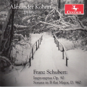 Alexander Kobrin - Franz Schubert i gruppen CD / Klassisk,Annet hos Bengans Skivbutik AB (4048916)