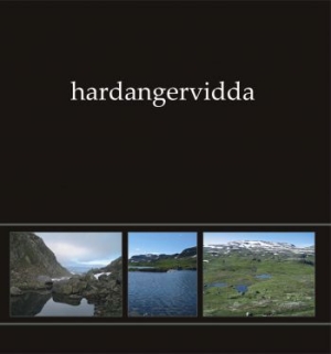 Ildjarn Nidhogg - Hardangervidda I (Green Vinyl Lp) i gruppen VI TIPSER / Julegavetips Vinyl hos Bengans Skivbutik AB (4052108)