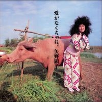 Yano Akiko - Ai Ga Nakucha Ne i gruppen CD / Pop-Rock hos Bengans Skivbutik AB (4053991)