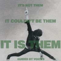 Guided By Voices - It's Not Them It Couldn't Be Them I i gruppen VI TIPSER / Julegavetips Vinyl hos Bengans Skivbutik AB (4054061)