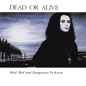 Dead Or Alive - Mad, Bad And Dangerous To Know i gruppen CD / Pop-Rock,Annet hos Bengans Skivbutik AB (4054567)