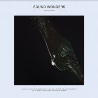 Various Artists - Sound Wonders i gruppen VINYL / Pop-Rock hos Bengans Skivbutik AB (4056791)