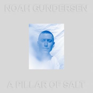 Noah Gundersen - A Pillar Of Salt i gruppen VINYL hos Bengans Skivbutik AB (4060947)