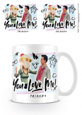 Friends - Friends (You Love Me) i gruppen Merchandise hos Bengans Skivbutik AB (4063709)