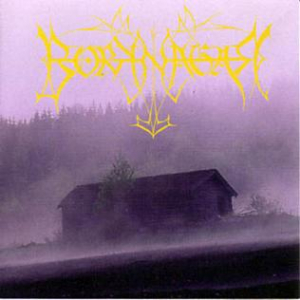 Borknagar - Borknagar (25Th Anniversary Re-Issue 2021) i gruppen CD / Metal hos Bengans Skivbutik AB (4064250)