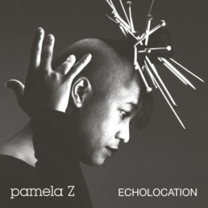 Pamela Z - Echolocation (Natural White Vinyl) i gruppen VINYL / Film-Musikkkal hos Bengans Skivbutik AB (4066844)