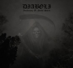 Diaboli - Awakening Of Nordic Storm (Vinyl Lp i gruppen VINYL / Metal/ Heavy metal hos Bengans Skivbutik AB (4068456)