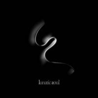 LUNATIC SOUL - LUNATIC SOUL i gruppen CD / Metal hos Bengans Skivbutik AB (4068464)