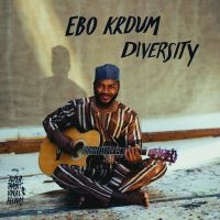 Krdum Ebo - Diversity i gruppen VINYL / Elektroniskt,Pop-Rock,World Music hos Bengans Skivbutik AB (4069275)