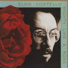 Costello Elvis - Mighty Like A Rose i gruppen CD / Pop-Rock,Annet hos Bengans Skivbutik AB (4070963)