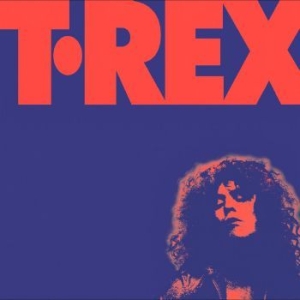 Bolan Marc & T. Rex - Alternative Singles Collection i gruppen CD / Pop-Rock hos Bengans Skivbutik AB (4071090)