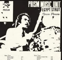 Ragab Salah & The Cairo Jazz Band - Egypt Strut i gruppen VINYL / Jazz hos Bengans Skivbutik AB (4073124)