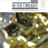 Various Artists - After Twilight i gruppen CD / Pop-Rock hos Bengans Skivbutik AB (4073207)