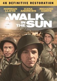 A Walk In The Sun: The Definitive R - Film (2Dvd) i gruppen Musikkk-DVD & Bluray hos Bengans Skivbutik AB (4077103)