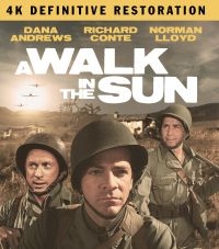 A Walk In The Sun: The Definitive R - Film (2Br) i gruppen Musikk / Musikkk Blu-Ray / Film/Musikkkal hos Bengans Skivbutik AB (4077109)