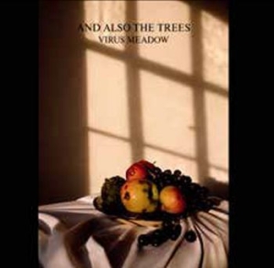 And Also The Trees - Virus Meadow i gruppen VINYL / Rock hos Bengans Skivbutik AB (4077157)