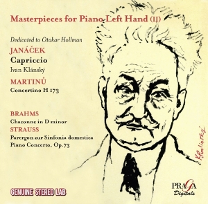 V/A - Masterpieces For Piano Left Hand 2 i gruppen CD / Klassisk,Annet hos Bengans Skivbutik AB (4080430)