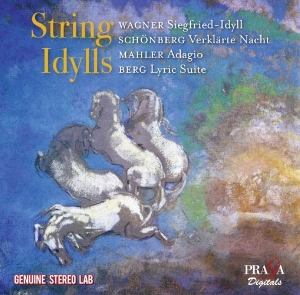 V/A - String Idylls i gruppen CD / Klassisk,Annet hos Bengans Skivbutik AB (4080440)