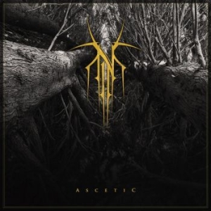 Norse - Ascetic (Digipack) i gruppen CD / Metal/ Heavy metal hos Bengans Skivbutik AB (4080931)