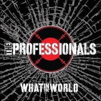 Professionals - What In The World i gruppen VINYL / Pop-Rock hos Bengans Skivbutik AB (4086659)