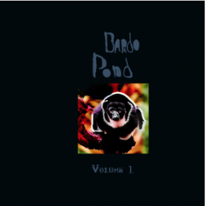 Bardo Pond - Volume 1 i gruppen VI TIPSER / Record Store Day / RSD-21 hos Bengans Skivbutik AB (4091092)