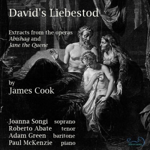 Cook James - David's Liebestod i gruppen VI TIPSER / Julegavetips CD hos Bengans Skivbutik AB (4112899)