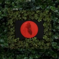 Moses Sumney - Live From Blackalachia (Clear Green i gruppen VI TIPSER / Julegavetips Vinyl hos Bengans Skivbutik AB (4116301)