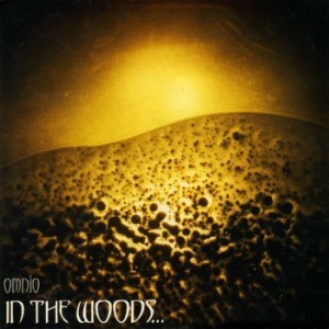 In The Woods - Omnio (Black Vinyl 2 Lp) i gruppen VINYL / Metal hos Bengans Skivbutik AB (4120121)