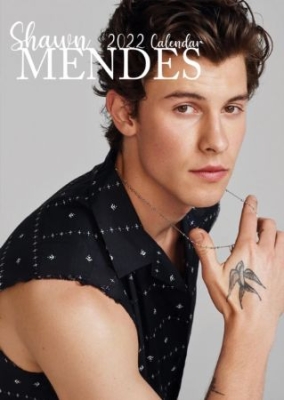 Shawn Mendes - Unofficial 2022 Calendar i gruppen Minishops / Shawn Mendes hos Bengans Skivbutik AB (4124089)