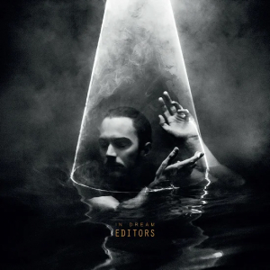 Editors - In Dream (Clear Vinyl) i gruppen VINYL / Rock hos Bengans Skivbutik AB (4125640)