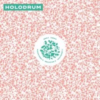 Holodrum - Holodrum i gruppen VINYL / Dance-Techno hos Bengans Skivbutik AB (4128514)