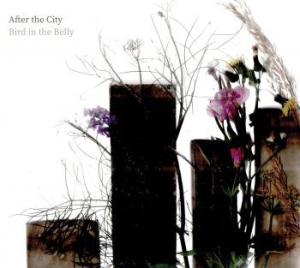 Bird In The Belly - After The City i gruppen CD / Worldmusic/ FolkeMusikkk hos Bengans Skivbutik AB (4128736)