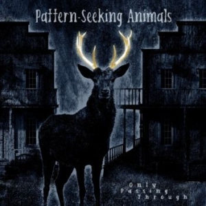 Pattern-Seeking Animals - Only Passing Through i gruppen VINYL / Metal,Pop-Rock hos Bengans Skivbutik AB (4132969)