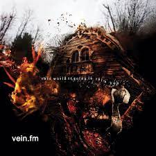 Vein.Fm - This World Is Going To Ruin Yo i gruppen VINYL / Metal hos Bengans Skivbutik AB (4135239)