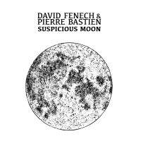 Fenech David & Pierre Bastien - Suspicious Moon i gruppen VINYL / Pop-Rock hos Bengans Skivbutik AB (4137108)