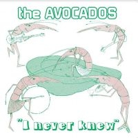 Avocados - I Never Knew i gruppen VINYL / Pop-Rock hos Bengans Skivbutik AB (4143142)