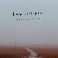 Okkenhaug Karin - Den Dagen Det Snur i gruppen CD / Pop-Rock hos Bengans Skivbutik AB (4143423)