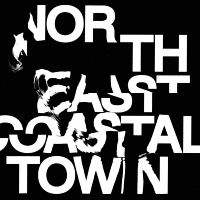 Life - North East Coastal Town i gruppen VINYL / Pop-Rock hos Bengans Skivbutik AB (4143927)