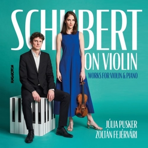 Schubert Franz - Schubert On Violin - Works For Viol i gruppen CD / Klassisk hos Bengans Skivbutik AB (4146002)