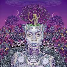 Erykah Badu - New Amerykah Part Two (Vinyl) i gruppen VINYL / Pop-Rock,RnB-Soul hos Bengans Skivbutik AB (4149384)