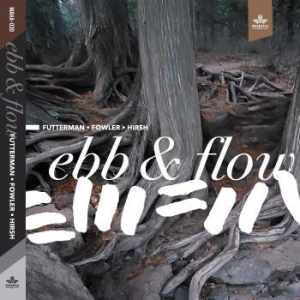 Futterman Joel Chad Fowler And Stev - Ebb & Flow i gruppen CD / Jazz,Annet hos Bengans Skivbutik AB (4150742)