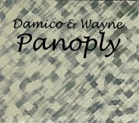 Wayne Hayden & Jason Damico - Panoply Damico & Wayne i gruppen CD / Pop-Rock hos Bengans Skivbutik AB (4150827)