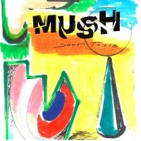 Mush - Down Tools i gruppen VINYL / Rock hos Bengans Skivbutik AB (4151036)