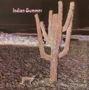 Indian Summer - Indian Summer i gruppen VINYL / Pop-Rock hos Bengans Skivbutik AB (4151046)